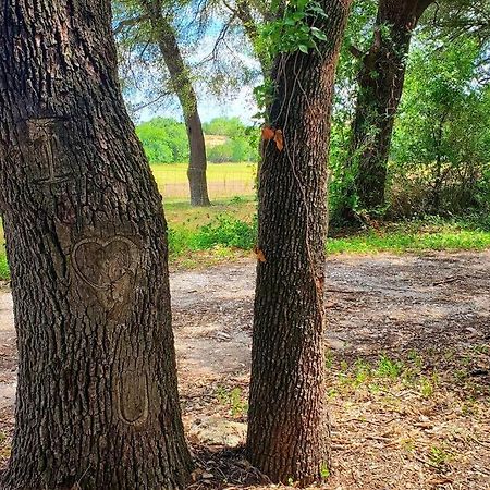 The Lonely Bull Luxury Container Home On 5 Acres ウェザーフォード エクステリア 写真